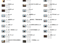 朱利安《PIMP》皮条客中文版《最新完整版》-学习佬