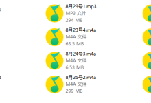 痴情叔19年8月面授课-学习佬