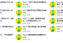 Chic颠覆认知的职场快速进化论。-学习佬