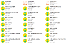 沐阳私教2.0-学习佬