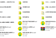 乌鸦救赎第二阶段-学习佬