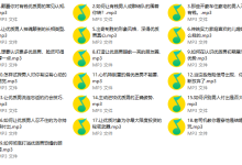 有钱优质男的真实刚需19节-学习佬