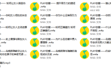 精品公开课录音-学习佬