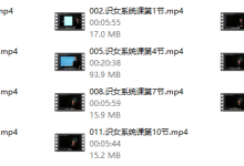Chris《智选伴侣》-学习佬