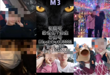 染色体 黑猫《终身制M3系统私教内部课程》-学习佬