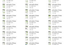 明月团队网络课程-学习佬