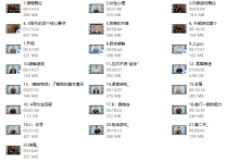 朱利安pimp中文翻译-学习佬