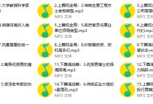 成功男人的A.B面15节-学习佬