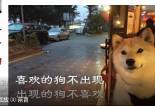 麦坤《恋爱脱单聊天课》-学习佬