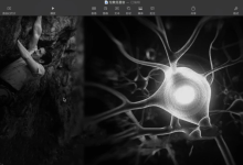 社交软件聊天（直播课）良叔、古医生 完结-学习佬