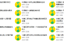 阮琦《魔鬼表达训练课》(15节)-学习佬